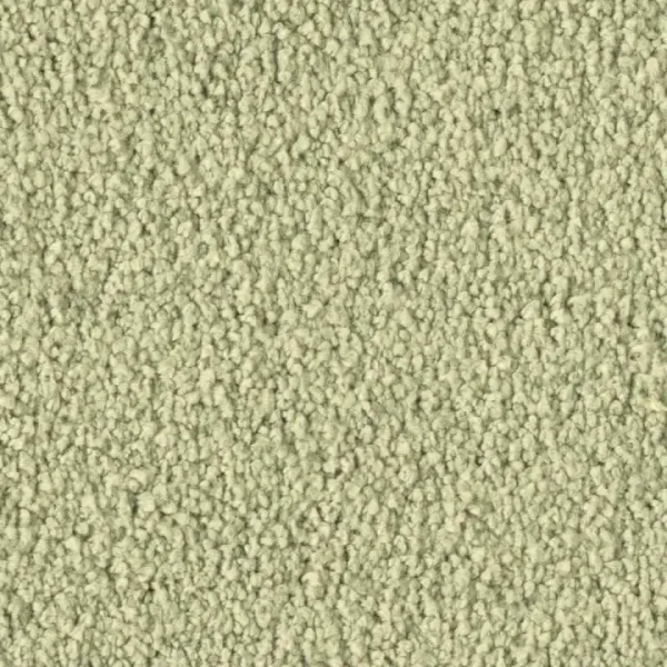 Vorwerk Violetta 8L38 – Draufsicht Teppichboden Farbe 8L38 ohne Badge